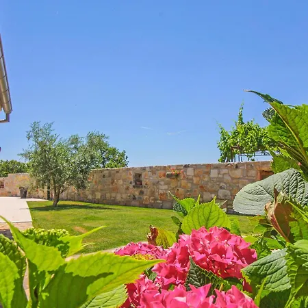 Vikendica Dolores In Cokuni